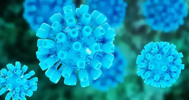 ΝΑ ΓΙΑΤΙ ΕΧΟΥΝ ΤΡΕΛΑΘΕΙ ΟΙ ΓΟΝΕΙΣ ΣΤΟ ΩΡΑΙΟΚΑΣΤΡΟ…!!! 8 ΠΑΙΔΙΑ ΛΑΘΡΟΠΡΟΣΦΥΓΩΝ ΣΤΟ ΝΟΣΟΚΟΜΕΙΟ ΚΙΛΚΙΣ ΜΕ ΗΠΑΤΙΤΙΔΑ…!! ΝΑ ΓΙΑΤΙ ΕΧΟΥΝ ΤΡΕΛΑΘΕΙ ΟΙ ΓΟΝΕΙΣ ΣΤΟ ΩΡΑΙΟΚΑΣΤΡΟ…!!! 8 ΠΑΙΔΙΑ ΛΑΘΡΟΠΡΟΣΦΥΓΩΝ ΣΤΟ ΝΟΣΟΚΟΜΕΙΟ ΚΙΛΚΙΣ ΜΕ ΗΠΑΤΙΤΙΔΑ…!!